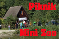 Piknik MiniZoo